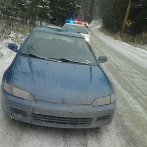 Meet your Posher, Steve